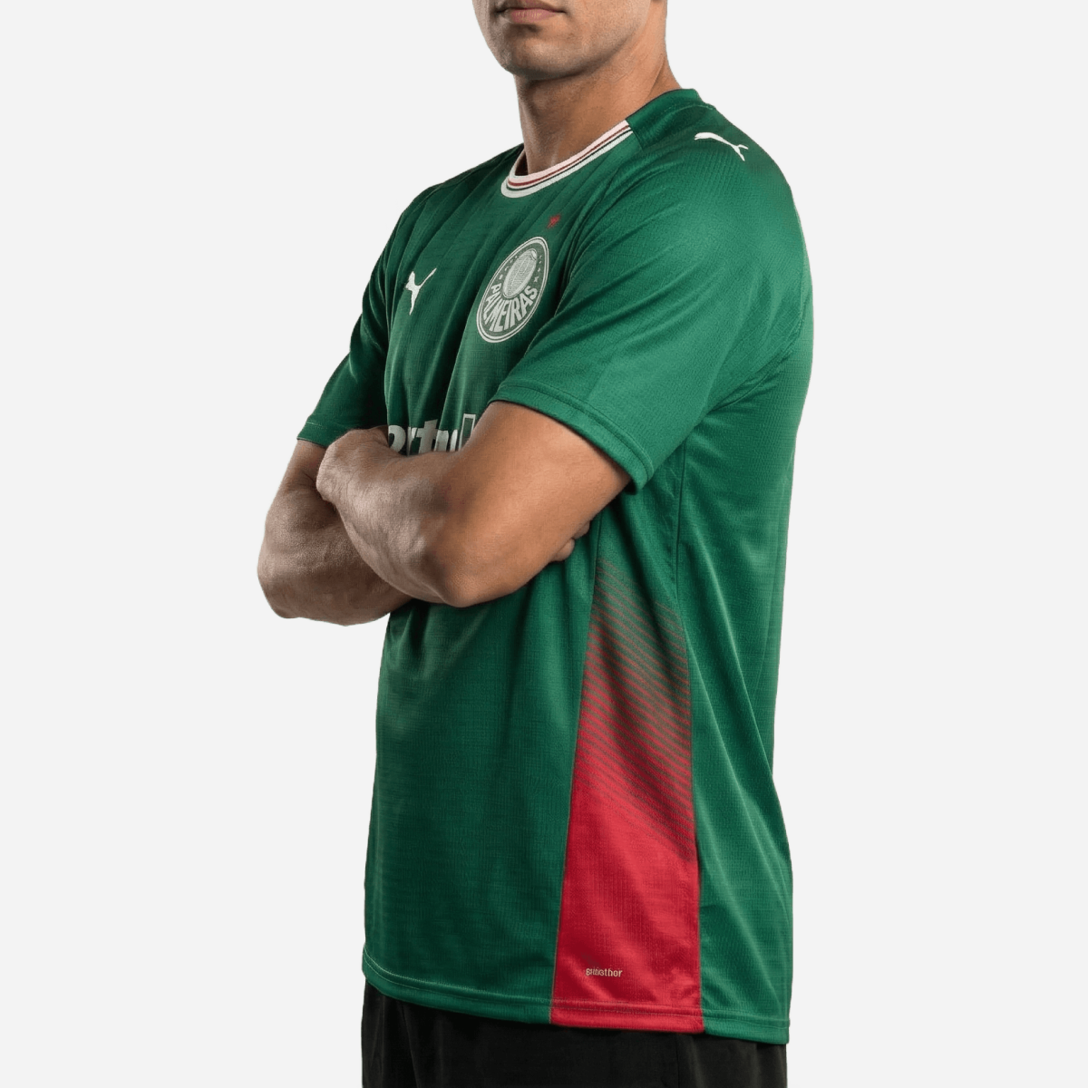 Palmeiras Puma 2026/27 Home Fan Jersey